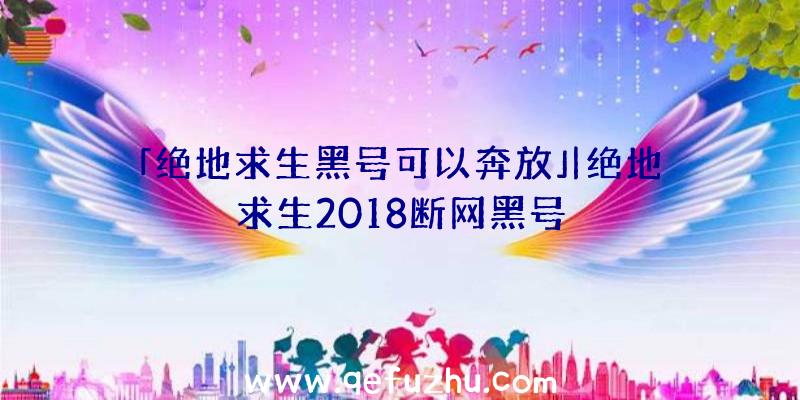 「绝地求生黑号可以奔放」|绝地求生2018断网黑号